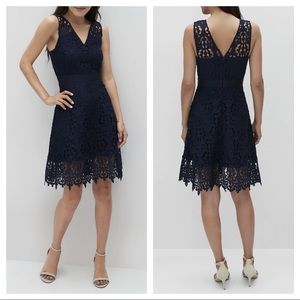 Banana Republic Lace Fit-and-Flare Dress